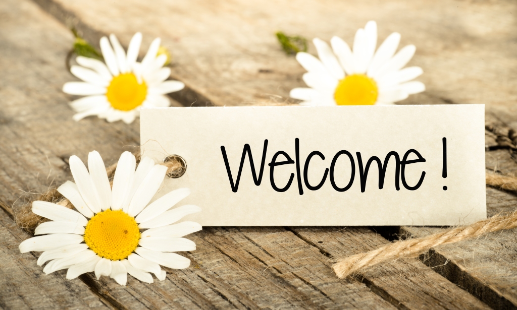 Daisies on a deck with "Welcome" written across the image. 